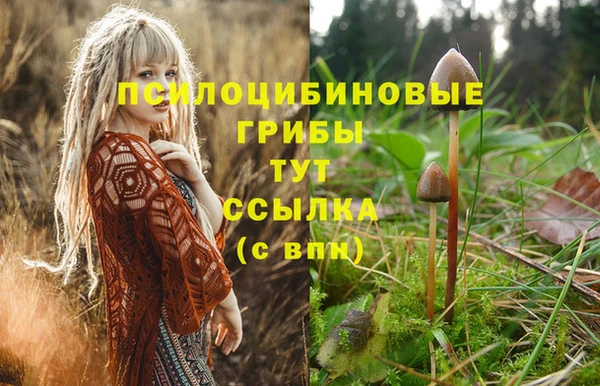 экстази Алексин