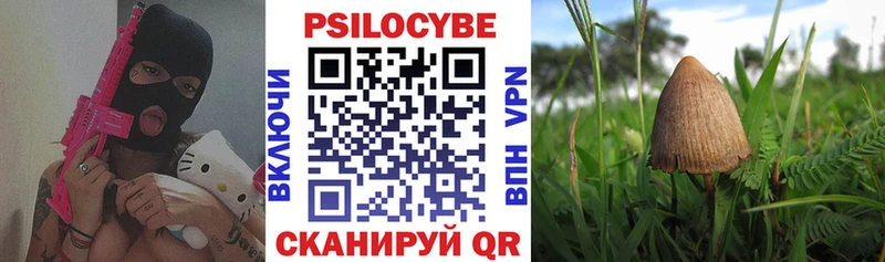 Галлюциногенные грибы Psilocybine cubensis  Ачхой-Мартан 